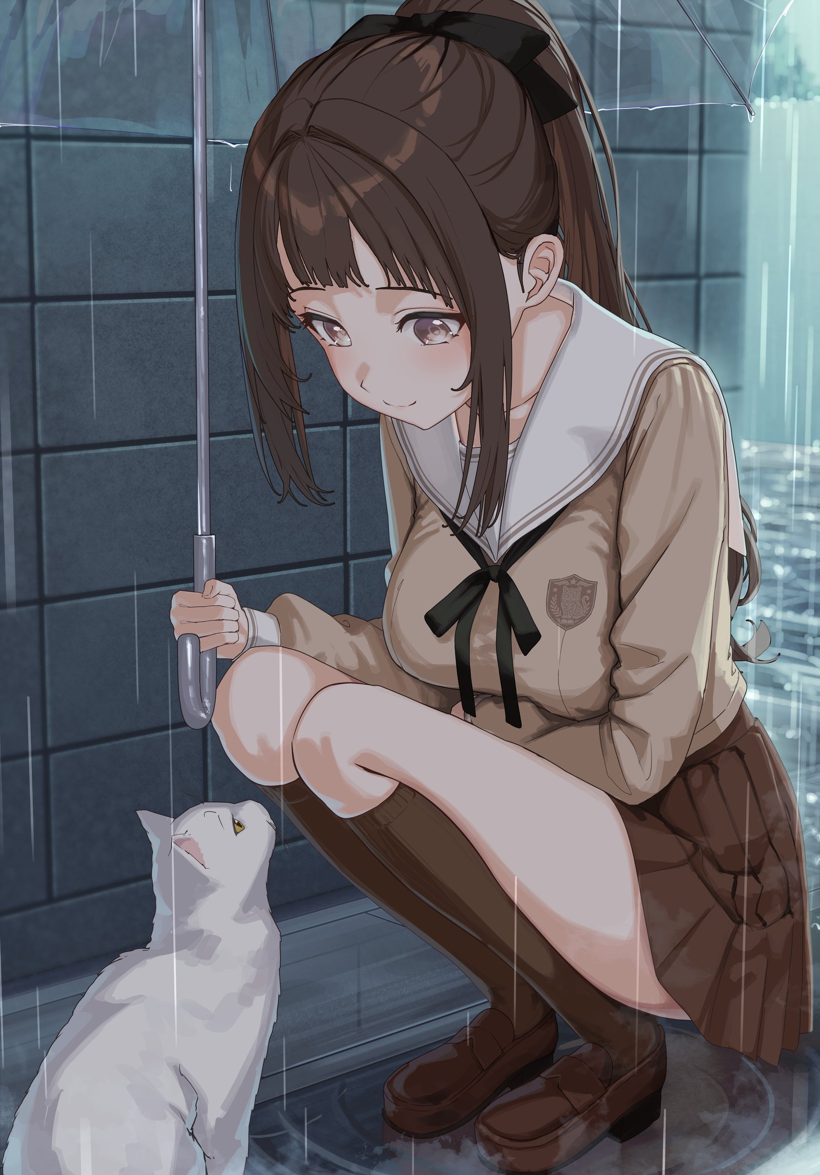 雨の日、傘をさした制服の少女がしゃがんで白い猫と目を合わせる